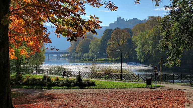 El parque Micaud
